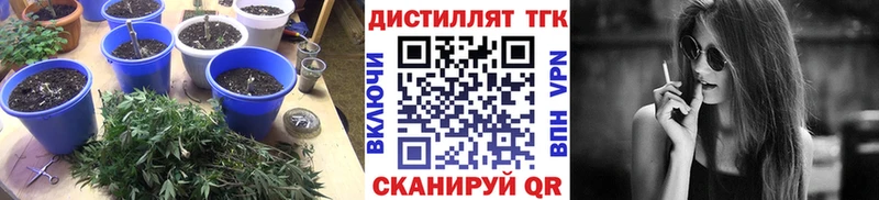 цена наркотик  Норильск  МЕГА зеркало  ТГК вейп с тгк 