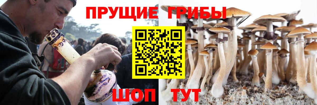 Галлюциногенные грибы ЛСД Норильск