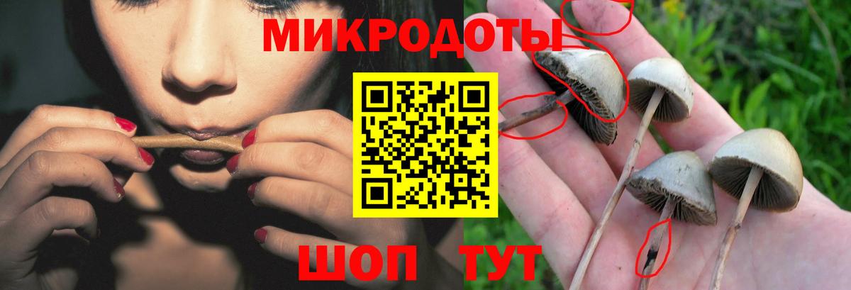 Псилоцибиновые грибы прущие грибы  Вход с VPN  Норильск 